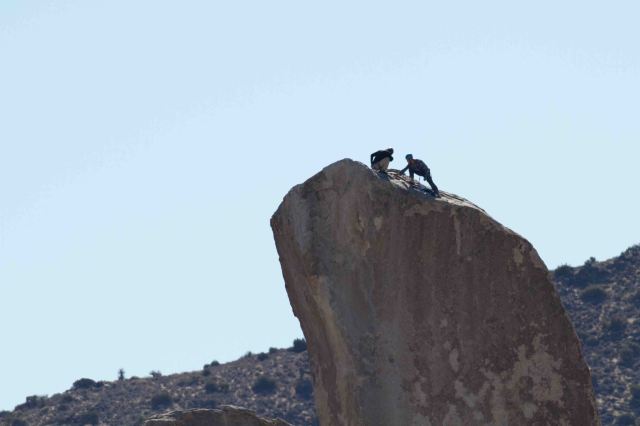 mountain climbers-9280