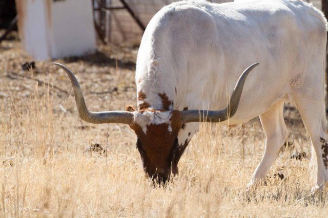 nicer one, perhaps-7222