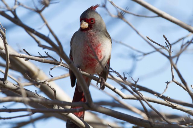 looking at moe2-0971