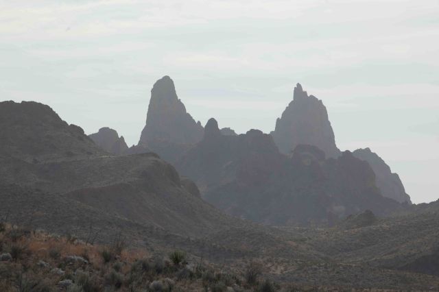 mule ears-0364
