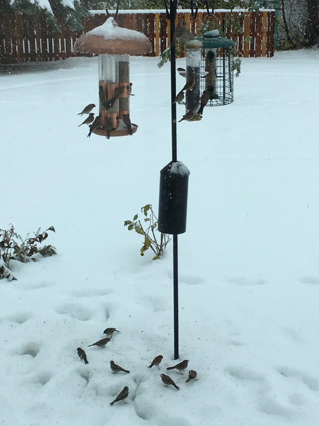 93860D76-167D-45E5-98F7-4E277B38BE6B