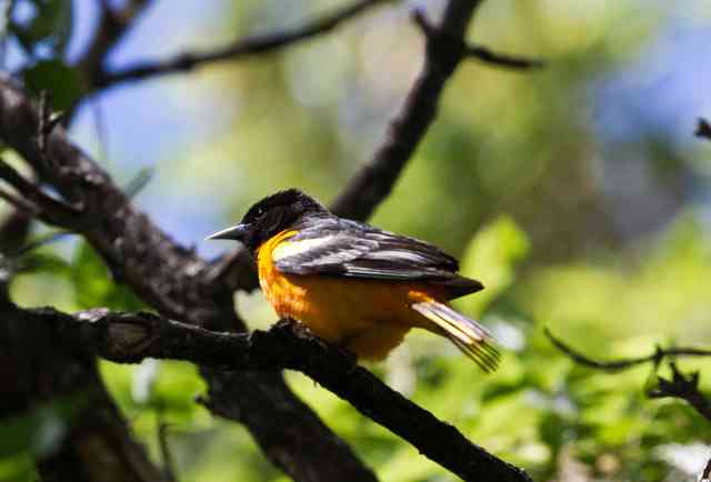 B020325F-752A-45E0-BF09-5BC696D08C4C