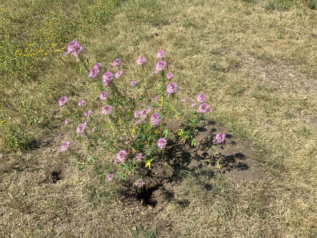 33936395-7224-4234-80CE-53FF3C36B7E0