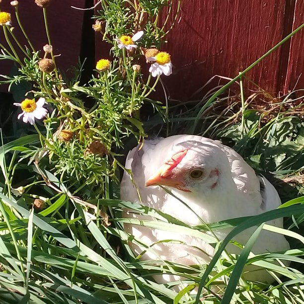 760A81E2-1CE1-41EF-9947-D0AD9578AF6F