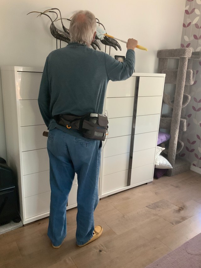 546866C3-9F99-4C83-A623-550166052101