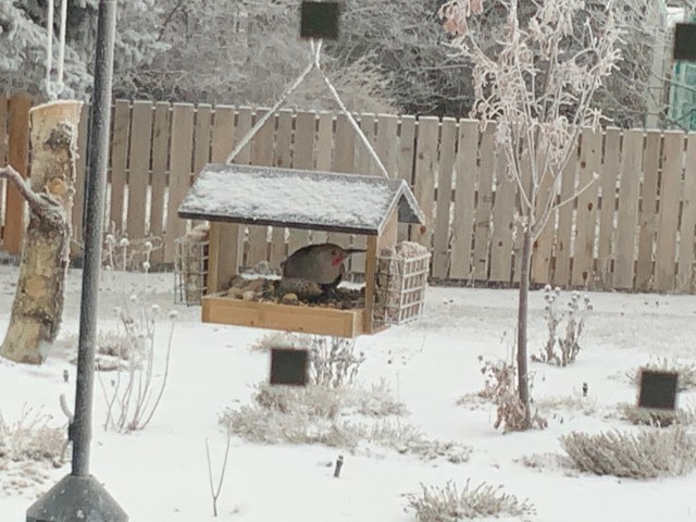 F7BAAE03-2097-4D56-B491-79A9D20F199A