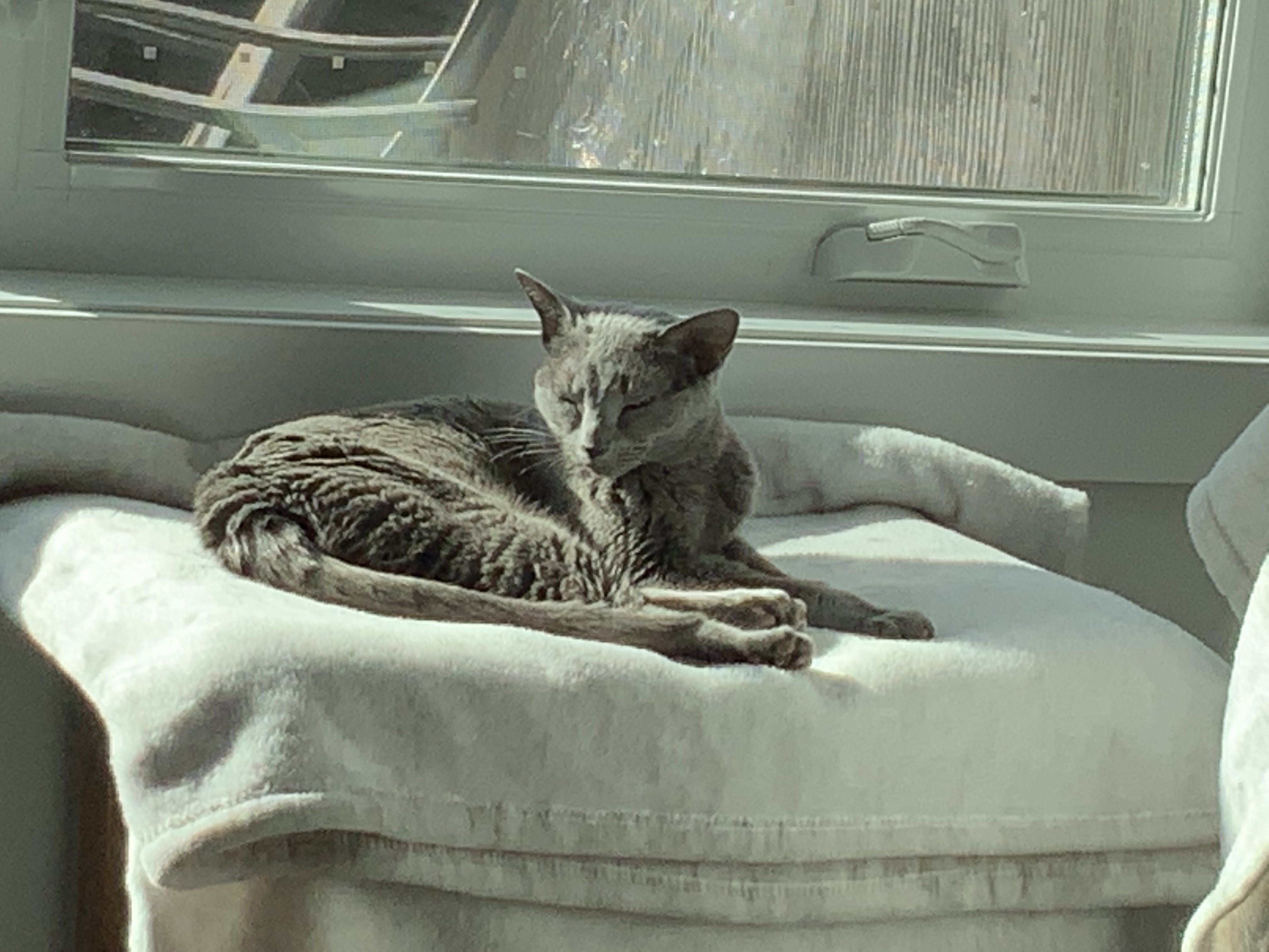 0CA4207D-22BE-46BE-A1A5-8E620BEDBB06