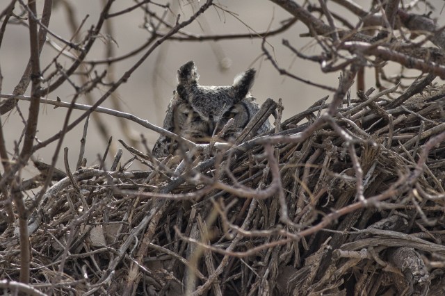 50170B71-CA62-408F-BE91-F9D7A3FF4DB9