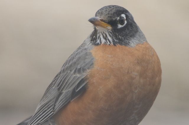 B25CFC55-1D9A-49A3-8CDC-0693B0D4448F