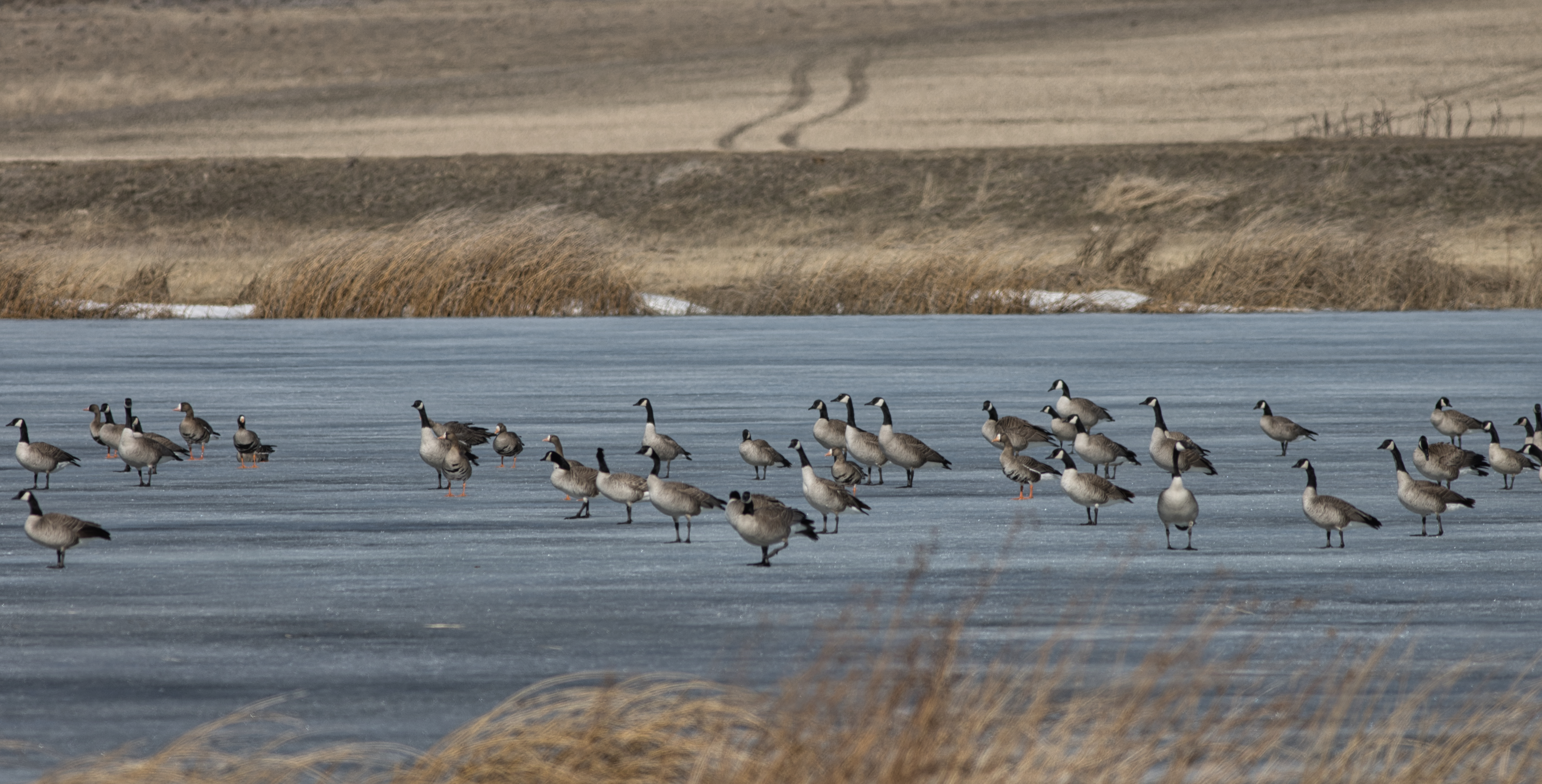 D5E43856-3D70-4AD8-9654-06315C2CD3BB