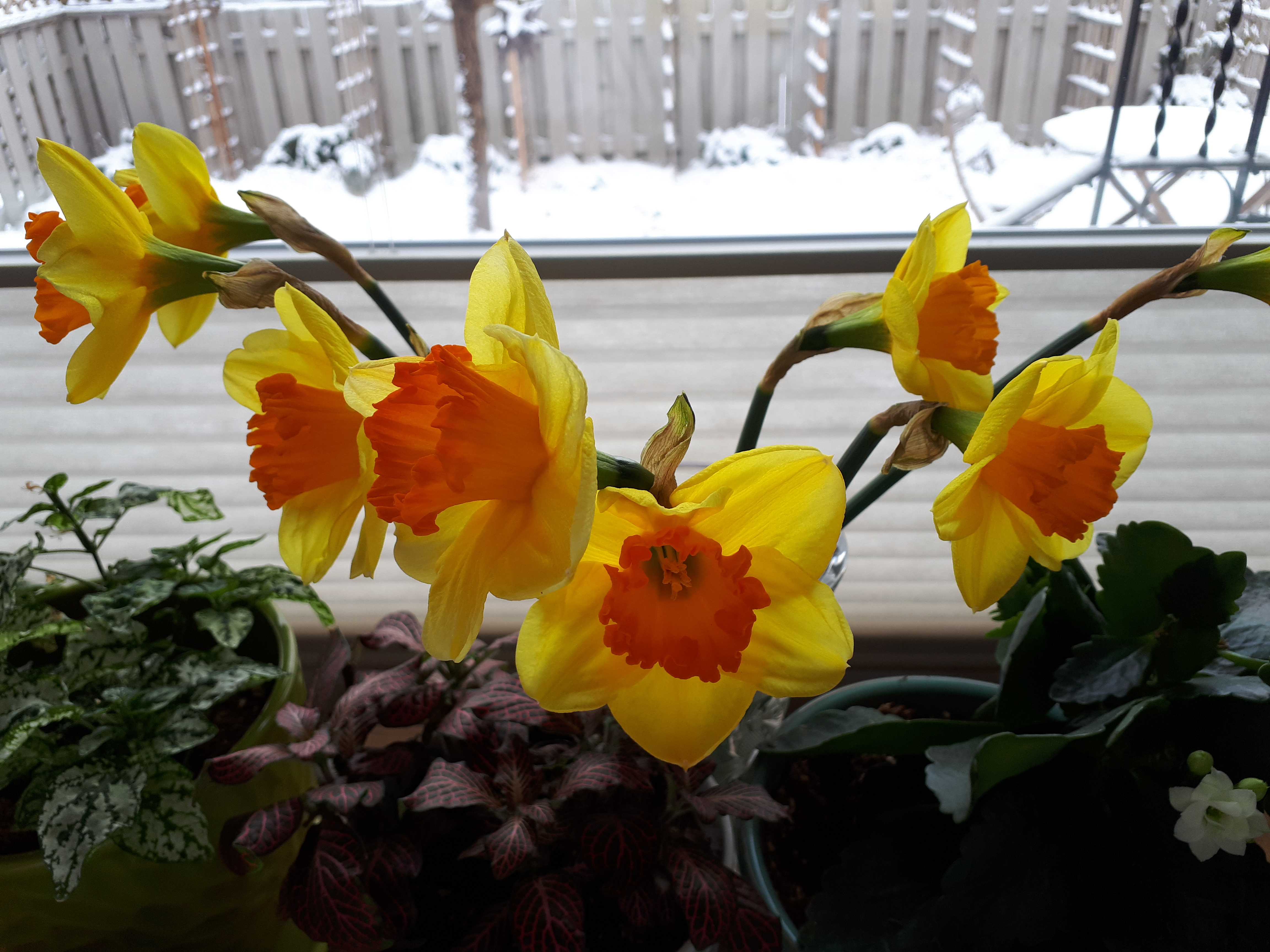 DB4EF7FD-D08A-401E-A3E5-9E3C48989F7D