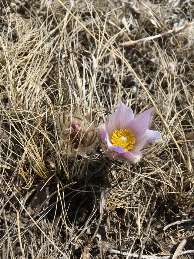 01B9937E-3239-468A-8F88-CAA7B75DD41C