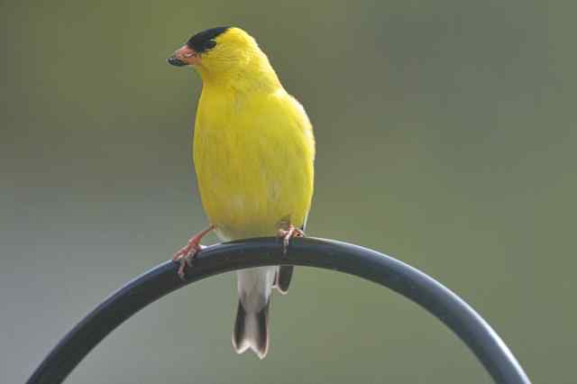 19EF76F2-E848-4F99-9EC0-C422F6BAC1BB