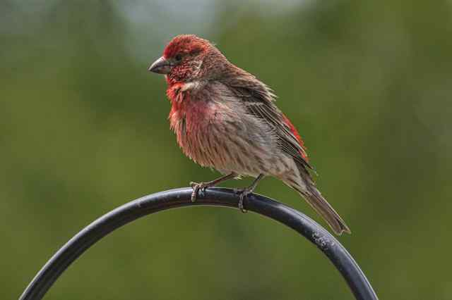 21192762-2A30-4564-AC6A-EB4078960C2C