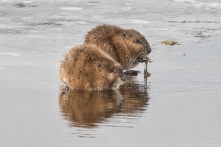 4053C75F-0C54-48EF-B503-258F4A3FED0D