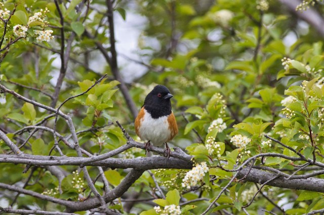 72C7173E-3FAE-4F49-827B-B831D1BD9352