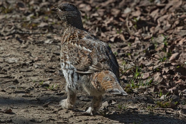 49FC4363-6AD4-4C4E-B3D0-45EDBF75F28E