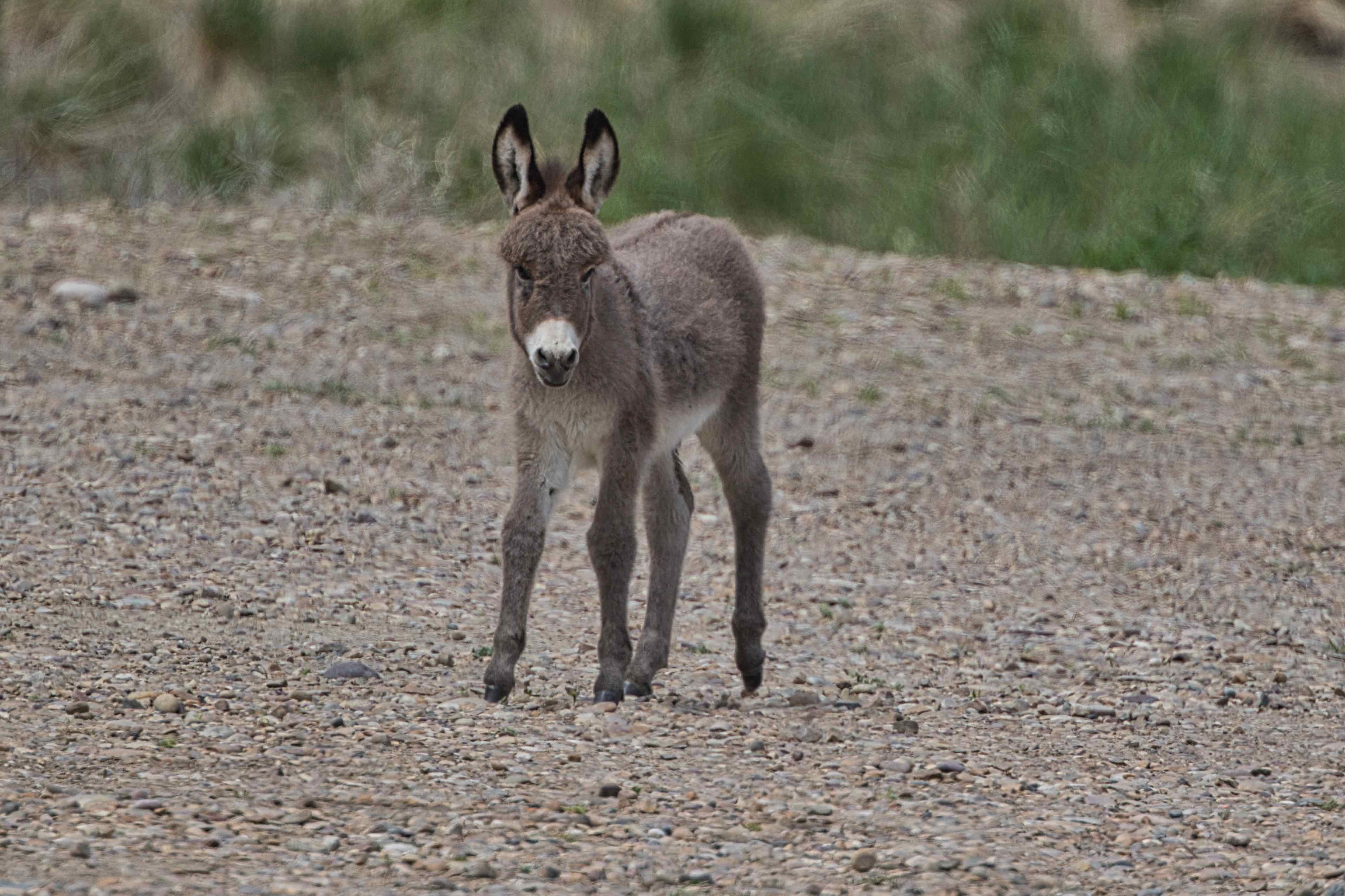 5A323453-8A66-4885-9988-C64DE4275367