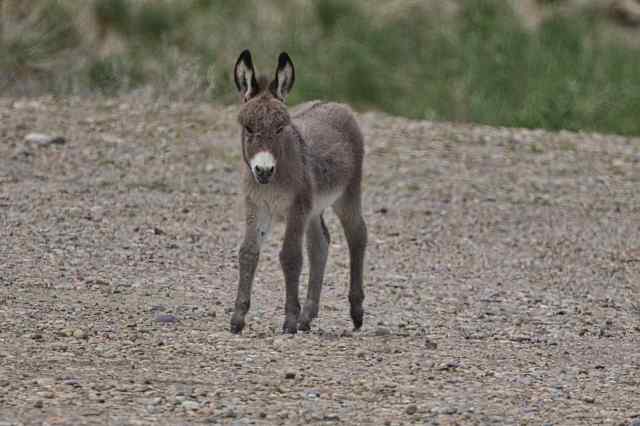 5A323453-8A66-4885-9988-C64DE4275367