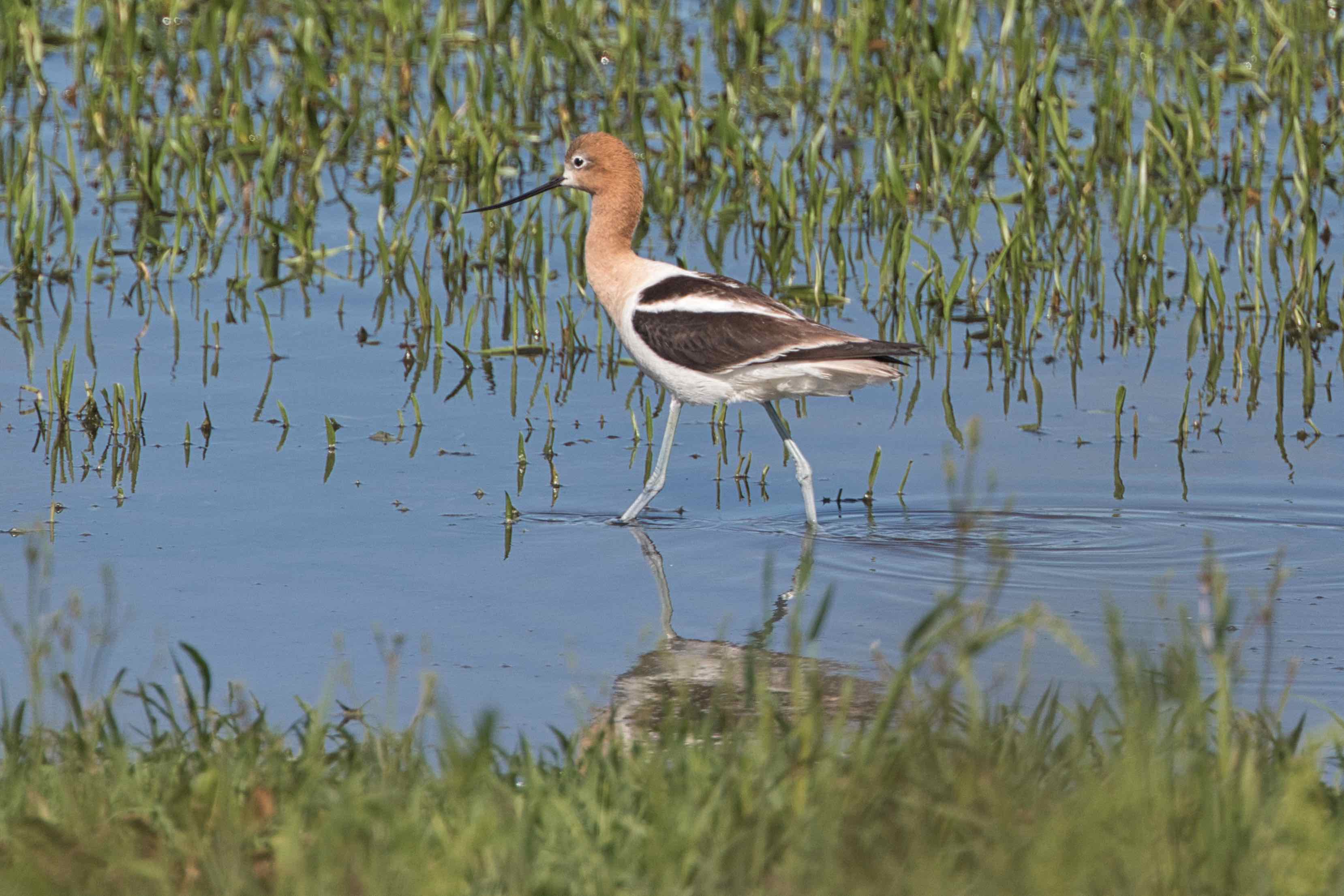 8EDF8D0F-D58B-4978-91F2-480DCE0654B4