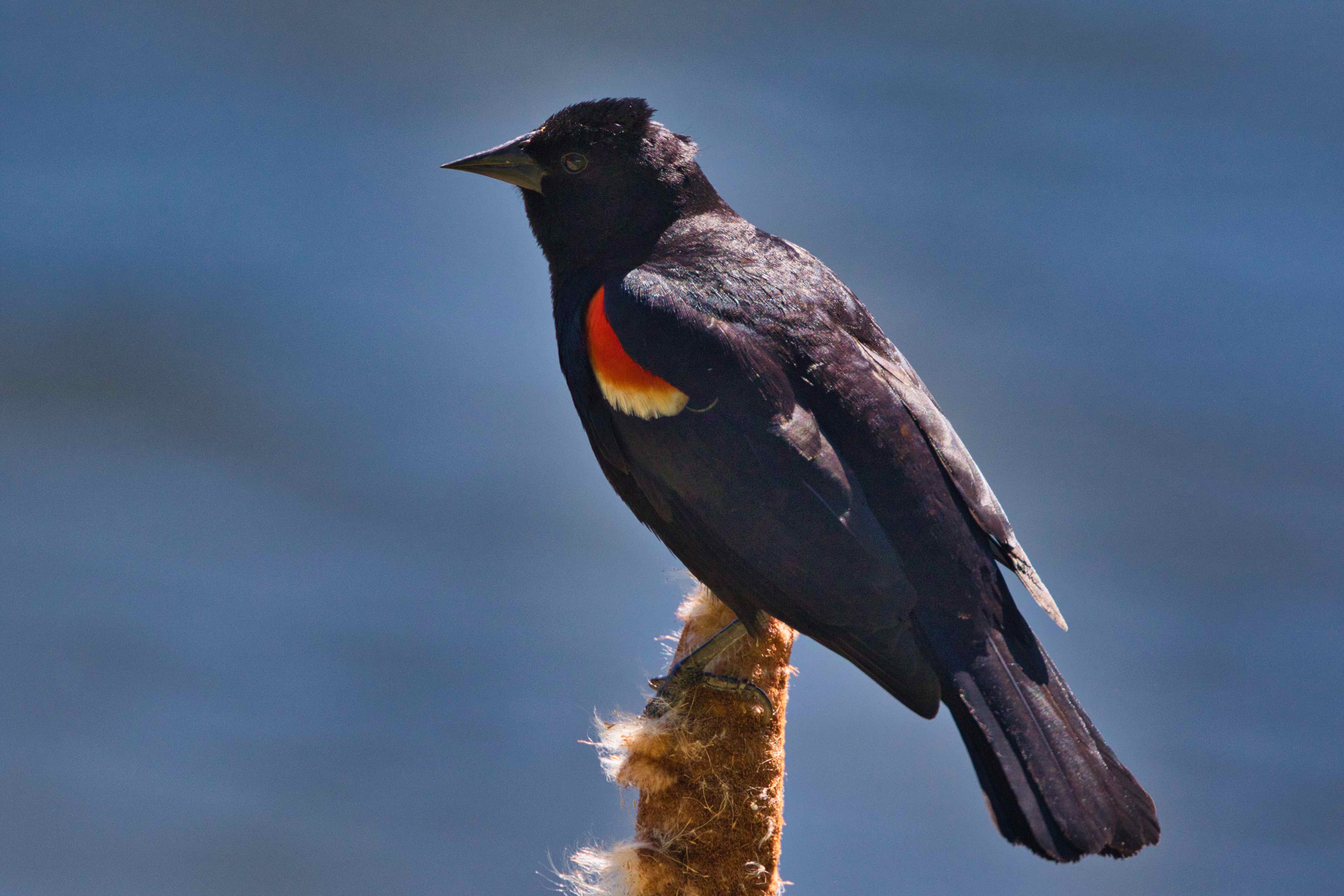 94A85A0F-F38C-44D1-8407-6EA93A91BD24