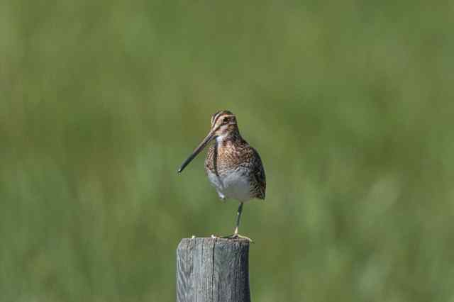 9EB0FE17-7008-48E8-8A59-9CF5732B75EA