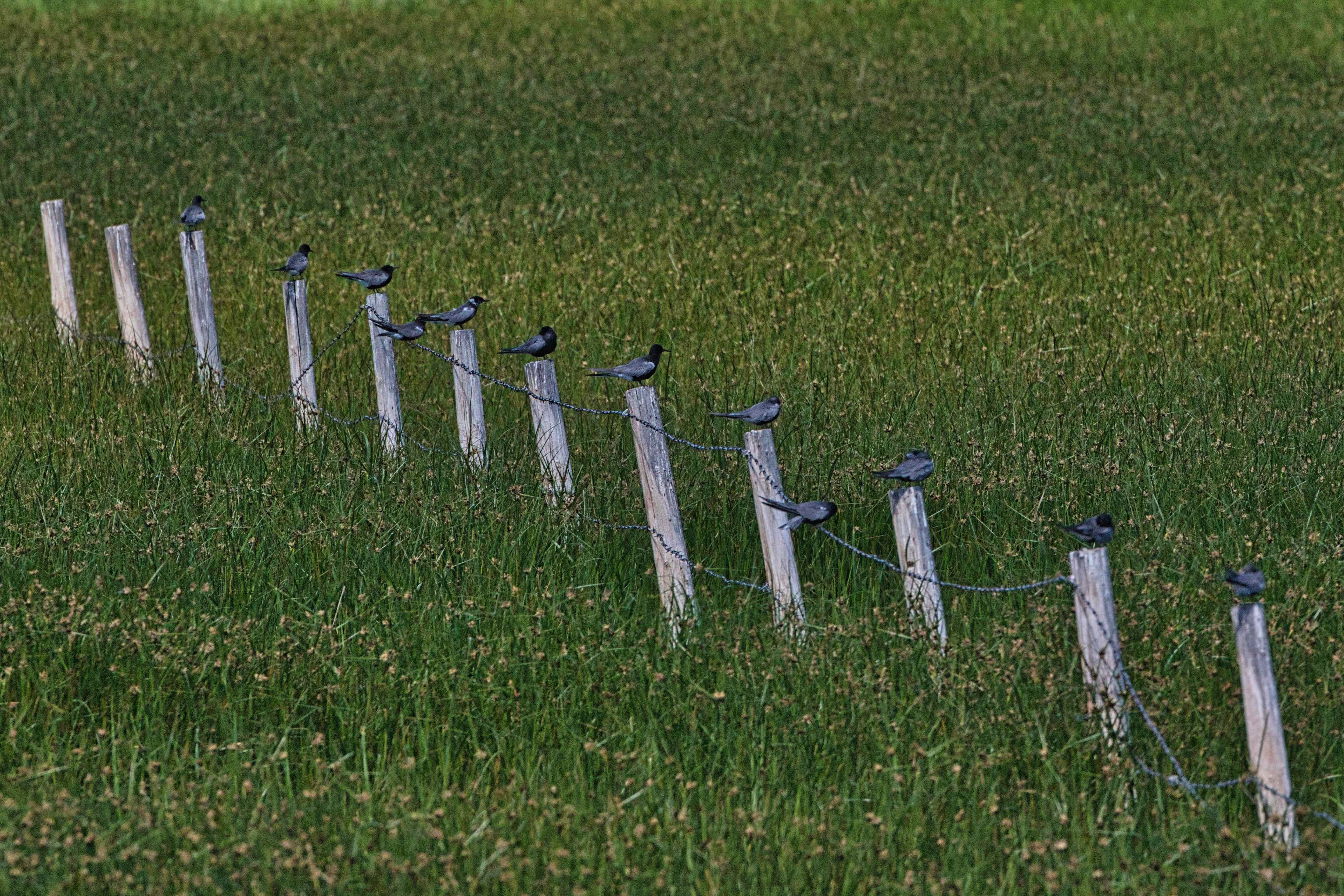 A01F6720-B2AE-42FC-8015-68D607A1AA6A