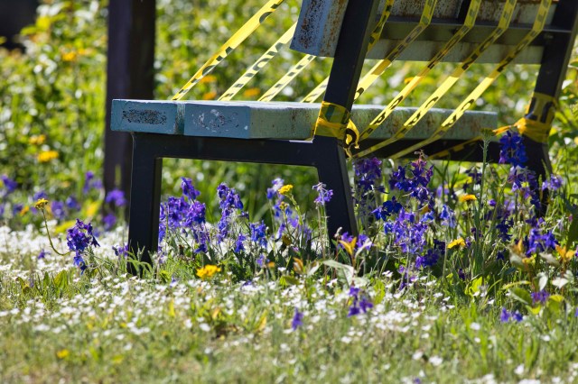 BA2032EB-805B-4927-A645-D22B973C4D1F