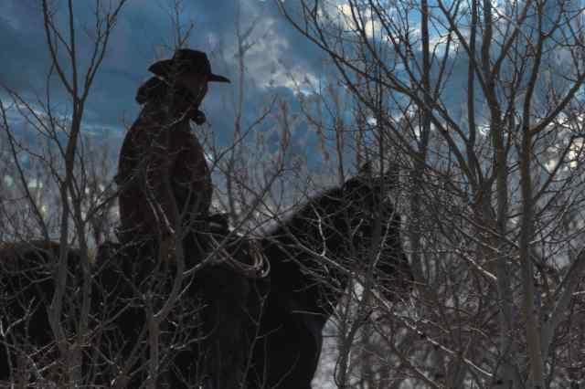 BBBA0783-9EC5-4692-9399-E435AD9BF9DC