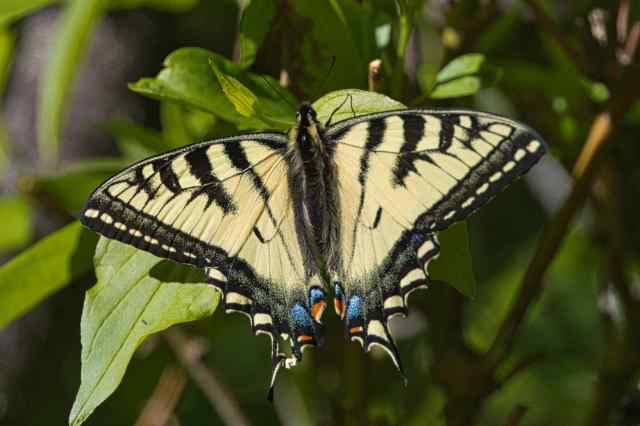 E0522CB1-A1A1-44E3-9064-8DF93E8C42EE