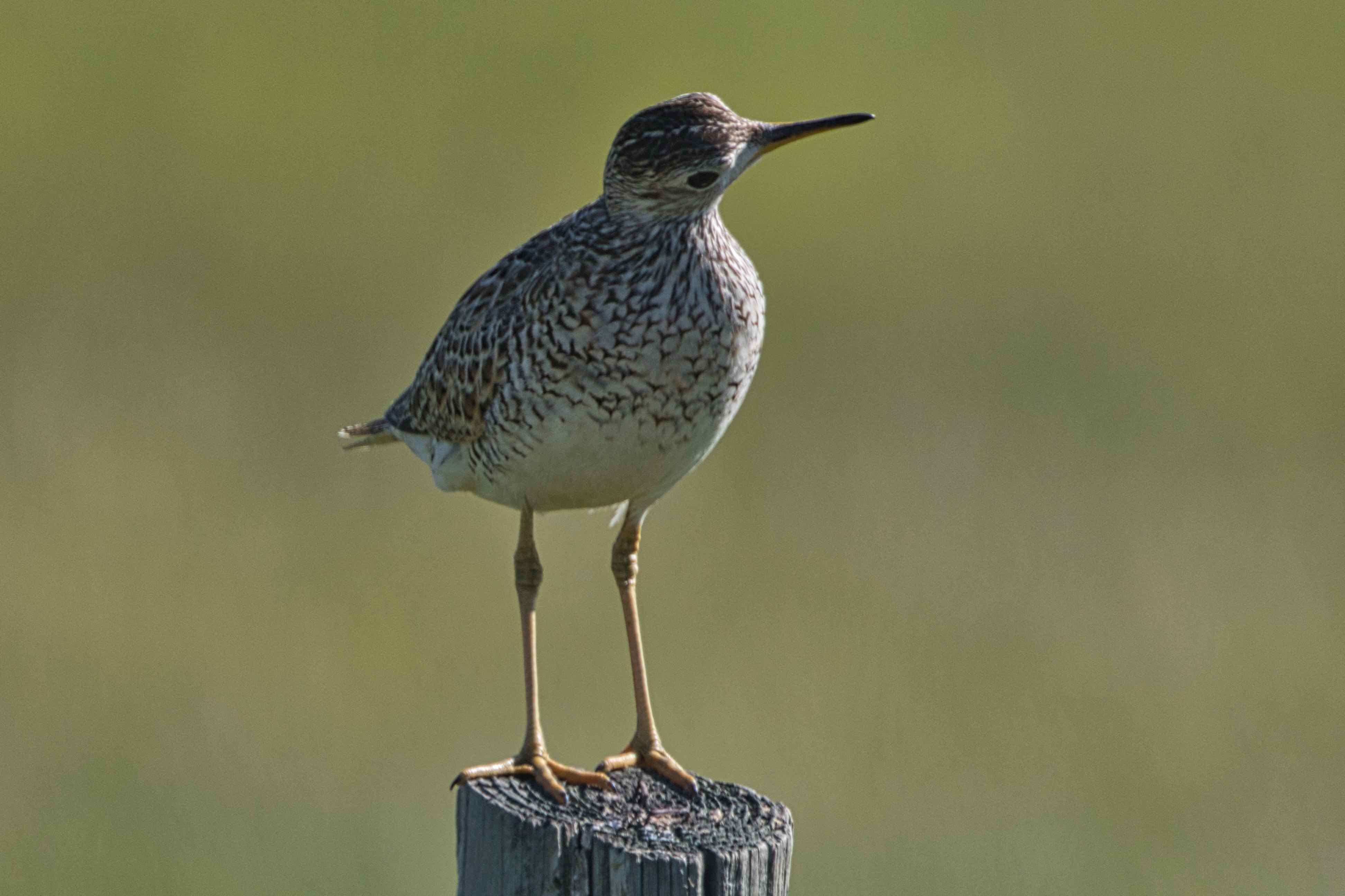 2C6261E0-39B4-48DB-B82F-3C64758DD9C5