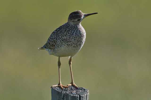 2C6261E0-39B4-48DB-B82F-3C64758DD9C5