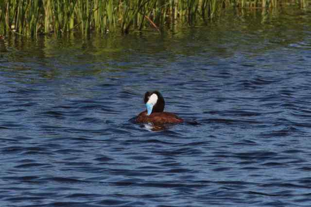 51D06A86-EAA2-4971-81A5-96170C06EA6A