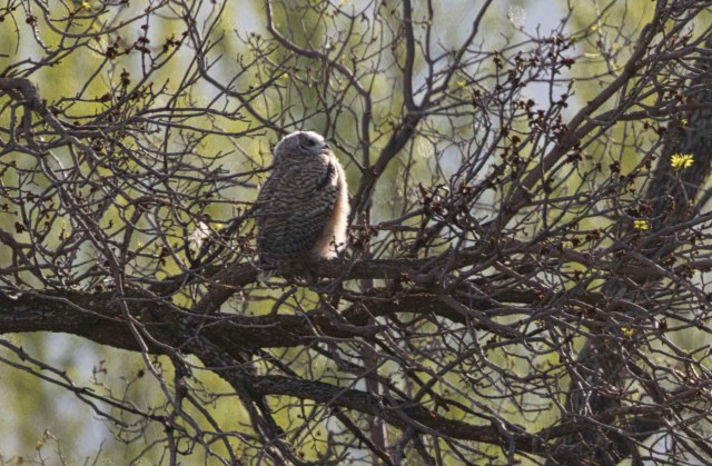 60217558-B871-4C64-AD84-B69780DEC3F1