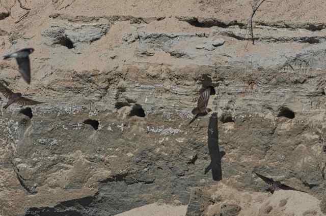 EAA2507A-8D25-489D-A052-1F2771C80DE2